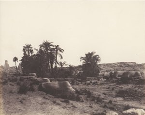 Karnak Thebes, Sfenks Bulvarı - G Noktasından alınan Genel Görünüm, 1851-52, 1853-54 basılmış. by Félix Teynard