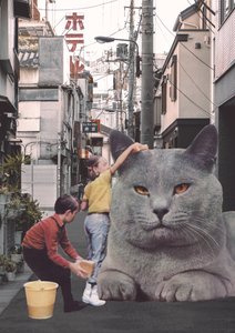 Tokyo Sokaklarında dev bir kediyi yıkayan çocuklar