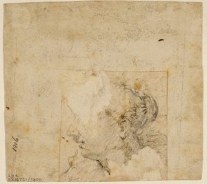 Soldaki Profilde Kadın Başı; Ağaçların ve Binanın Kroki by Follower of Jacopo Bassano