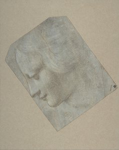 Sola Bakan Profildeki Kadın Başı, 1490-1500. by Follower of Leonardo da Vinci.