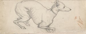 Bir Tazı Çalışması, 19. yüzyılın ortalarında by Ford Madox Brown