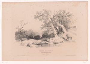 Su ve iki geyik ile kaya manzara Peyzaj, hayvan ve detay çalışmaları içeren çizim kursu (seri başlığı) Tasarım kursu. Paysages, rakamlar, animaux, aksesuarlar, par Férogio (nesne üzerinde seri başlığı)