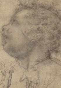  by Fra Bartolommeo (Baccio della Porta)