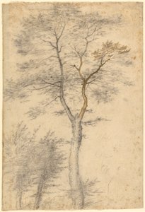  by Fra Bartolommeo (Baccio della Porta)