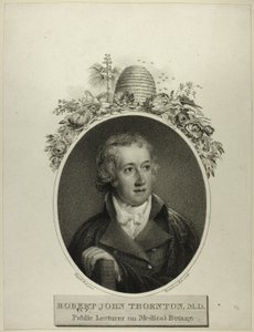 RJ Thornton by Francesco Bartolozzi