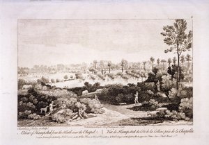 Hampstead Heath
