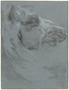 Bir atın başı by Francesco Giuseppe Casanova