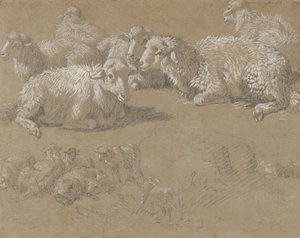 Bir Manzarada Yatan Koyun, 1759-82. by Francesco Londonio