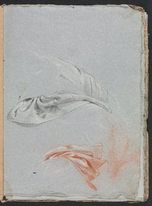 Verona Sketchbook: Perdelik çalışmaları (sayfa 17)