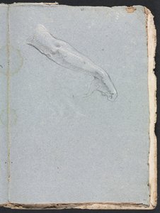 Verona Sketchbook: Sağ kol ve el sayfası 95, 1760. by Francesco Lorenzi