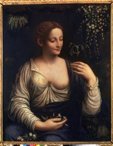 ""Flora"" (Flora) Tablo Francesco Melzi (1493-yaklaşık 1570) 1510-1515 Dim. 76x63 cm Ermitaj Müzesi Saint Petersburg by Francesco Melzi or Melzo