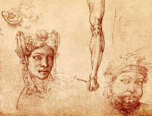 Head and leg studies