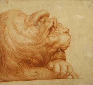 Profilde bir aslan başı (beyaz kağıt üzerine kırmızı tebeşir) by Francesco de Rossi Salviati Cecchino