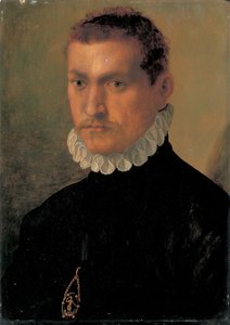 Bir şövalye portresi by Francesco de Rossi Salviati Cecchino