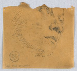 Bir Yüzün Kısmi Çizimi by Francis Augustus Lathrop