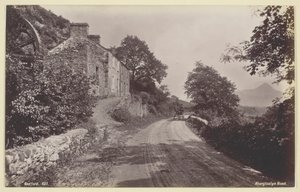 Aberglaslyn Yolu, 186094. by Francis Bedford