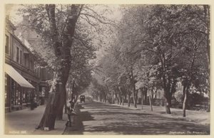 Cheltenham, Gezinti Yolu by Francis Bedford