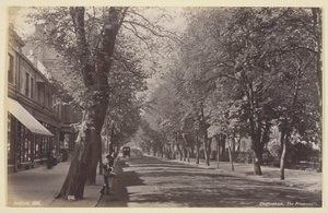 Cheltenham, Gezinti Yolu, 186094. by Francis Bedford