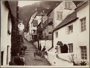  by Francis Bedford