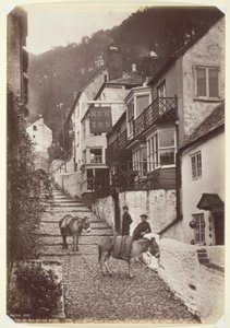 Clovelly, Yeni Han ve Sokak by Francis Bedford