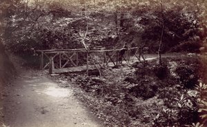 Colwyn Körfezi. Ormanda Rustik Köprü, 1870