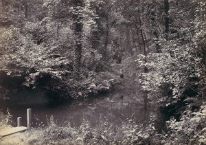 Colwyn Körfezi. Ormandaki Havuz, 1870