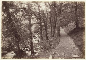 Dolgelley, Torrent Yürüyüşünde Görüntüle by Francis Bedford