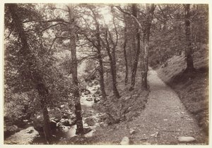 Dolgelley, Torrent Yürüyüşünde Görüntüle, 186094.