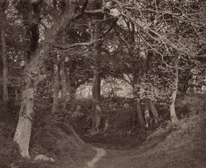  by Francis Bedford