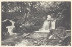 Glen Lyn, Rustik Köprü, 186094. by Francis Bedford