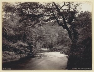 Ivy Bridge, Prysor Nehri