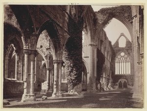 İsimsiz [Tintern Manastırı], 186094. by Francis Bedford