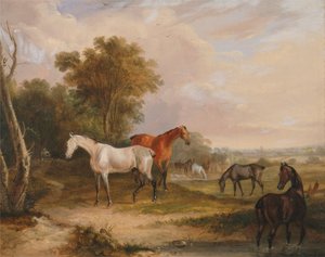  by Francis Calcraft Turner