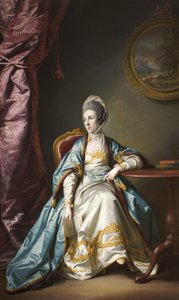 Catherine Fleming, Leydi Leicester