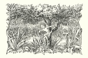  by Francis Donkin Bedford