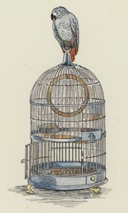  by Francis Donkin Bedford