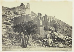 Doum Palmiyesi ve Harap Cami, Philæ