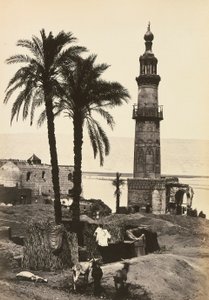 "Mısır ve Filistin": Girgeh