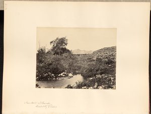 Elişa tarafından iyileştirilen Eriha Çeşmesi by Francis Frith
