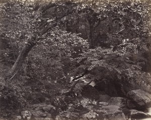 Lynmouth'daki Glen, 1860'lar by Francis Frith
