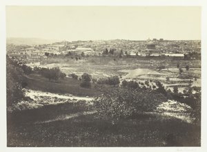 Zeytin Dağı