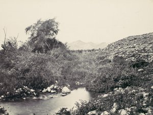 Jerico Çeşmesi ve Şehrin Muhtemel Yeri, yak. 1857. by Francis Frith