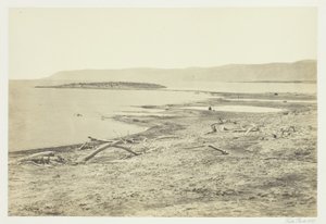 Ölü Deniz