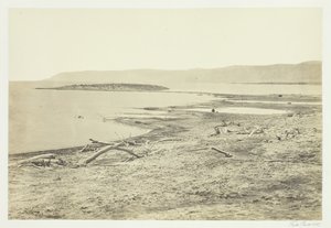 Ölü Deniz