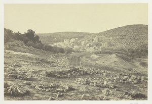Hebron