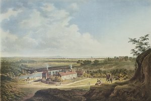 Hampstead Heath
