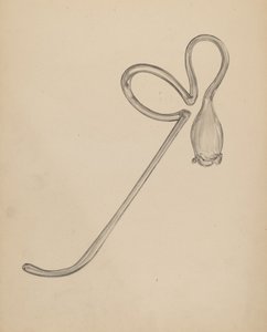 Jersey Borusu by Francis Law Durand