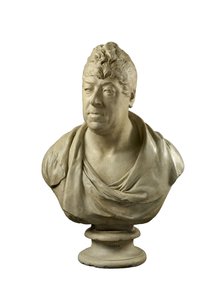 Hafod Thomas Johnes büstü, MP, FRS, 1811 (alçı)