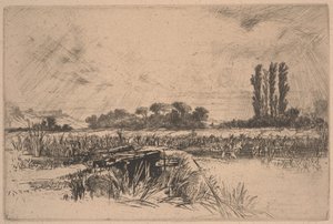 Bir Su Çayırı (aşındırma ve kuru nokta) by Francis Seymour Haden