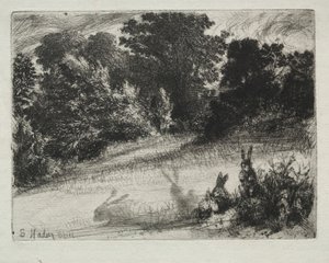 alt tarak by Francis Seymour Haden